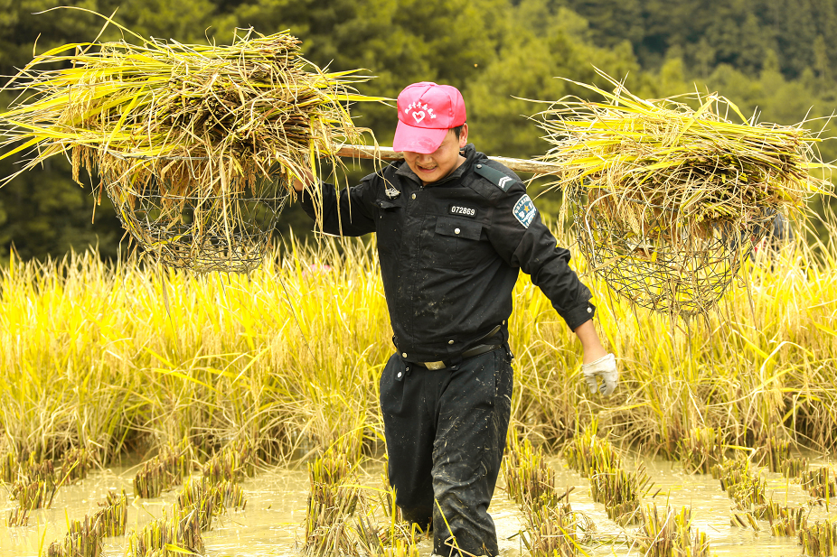 ���r(n��ng)����ح�F�݄P�ｻ�����Є�(d��ng)��