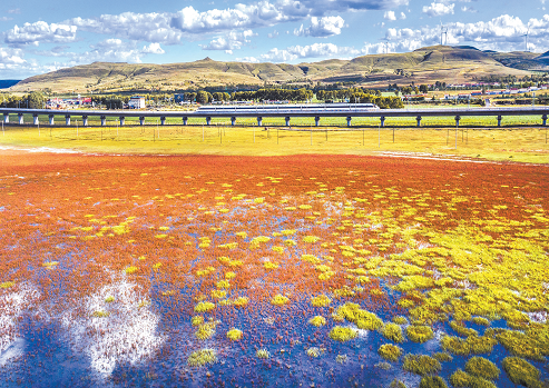 ��ԭ���F������������