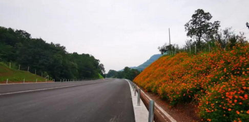 �f���ڴ������e�Ѓɗl���ٹ�·ͨ܇�ڼ�