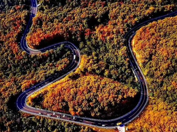 ���ϣ��ѻ����γɡ���ͨ��(n��i)(li��n)��ͨ�啳�l(xi��ng)�����r(n��ng)�幫·�W(w��ng)�j(lu��)