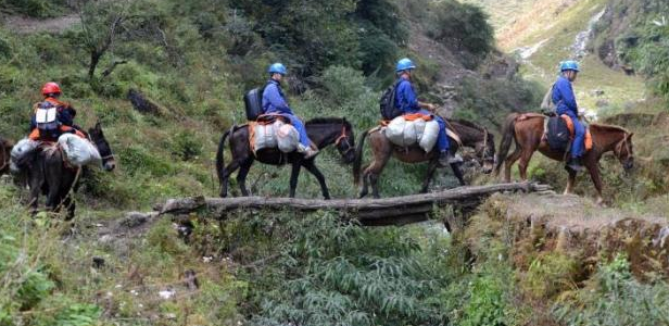 ���R���ϵ�����\(y��n)�S�T������Խ�o(w��)�˅^(q��)���o(h��)�f(w��n)�ҟ���