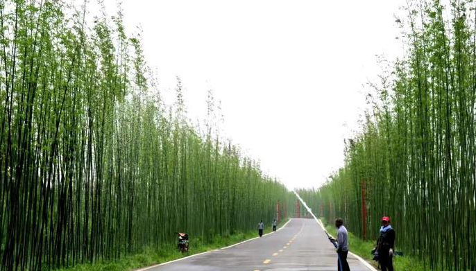 ɽ�|���հ��r(n��ng)�幫·�������ɫ�a(ch��n)�I(y��)�¸�·