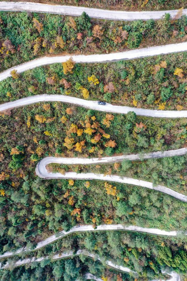 2020���¸Ľ��r(n��ng)�幫·11623����