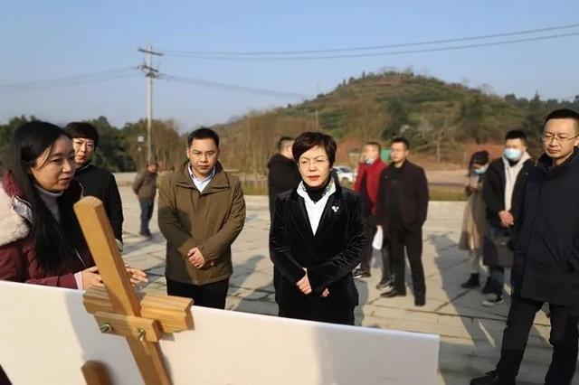 ���⣺������ͨҎ(gu��)�� �۽��(xi��ng)Ŀ���O(sh��)