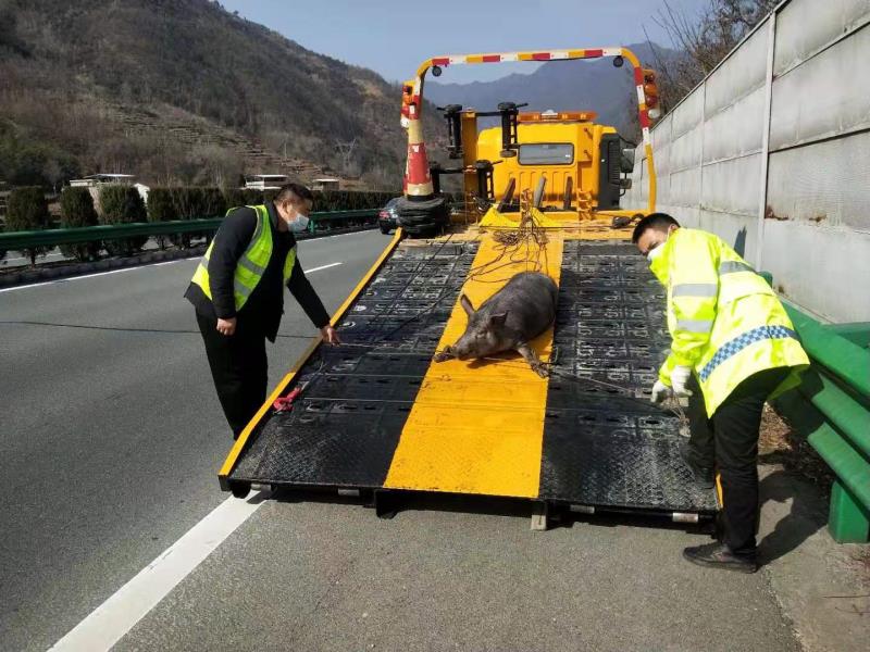 ���iÓ�\�y�Z����·  ��·�˔y��ʩ�ȱ�ƽ��