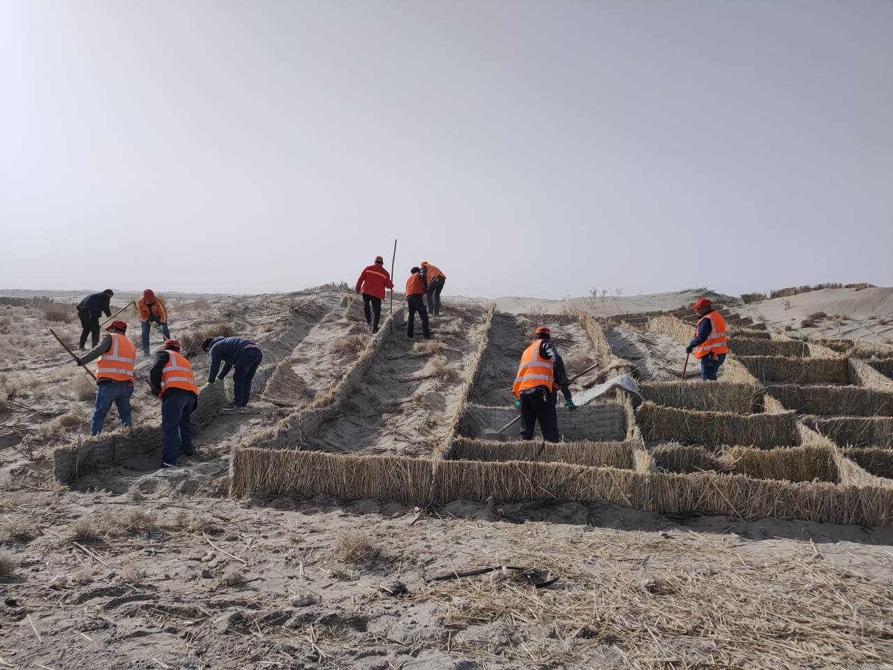 ��ʲ��·���������w��־ִ�����·�B(y��ng)�o(h��)ȫ��չ�_(k��i)