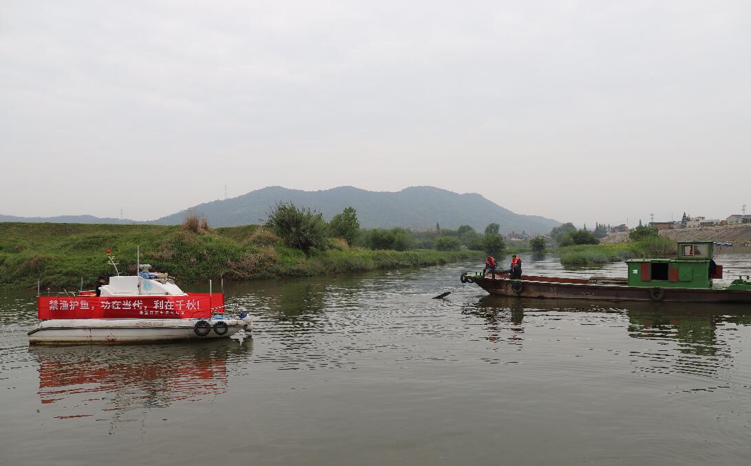 �T�߶ಿ�T(li��n)���_չ�������ψ�(zh��)���Є�