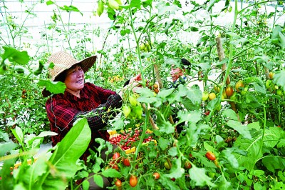 �l(xi��ng)�����d���r(n��ng)�I(y��)�������r(n��ng)��������r(n��ng)�����