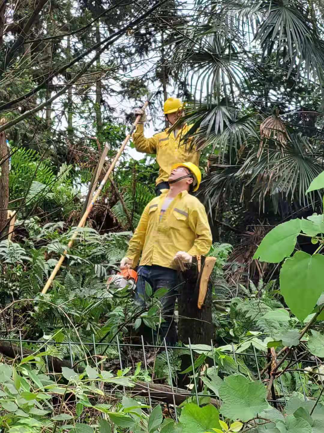 �¾��ߜ��µġ������ߡ�