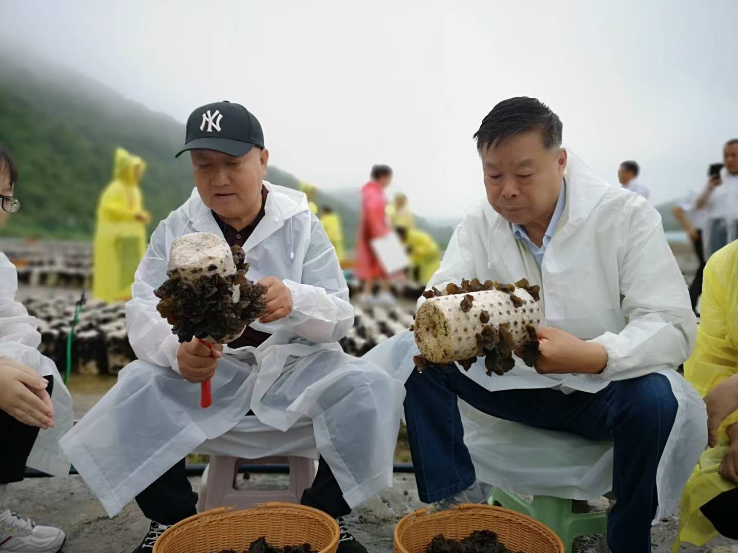 �˲�����Сľ���څ�������ѽ�(j��ng)�����˴�a(ch��n)�I(y��)!