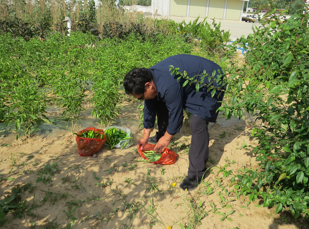 ���Ҵ���·���Ќ�(sh��)�����k��(sh��)�½��y�}