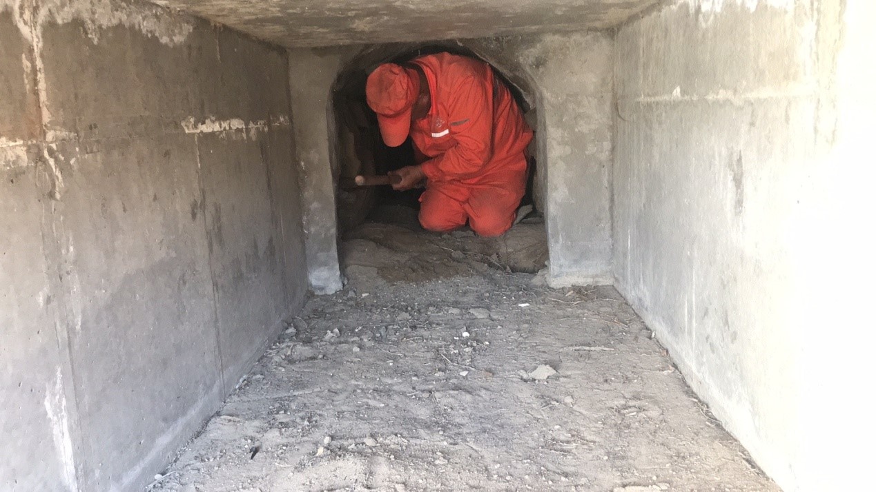 ������������ ȫ�����(zh��n)Ѵ�ډ���