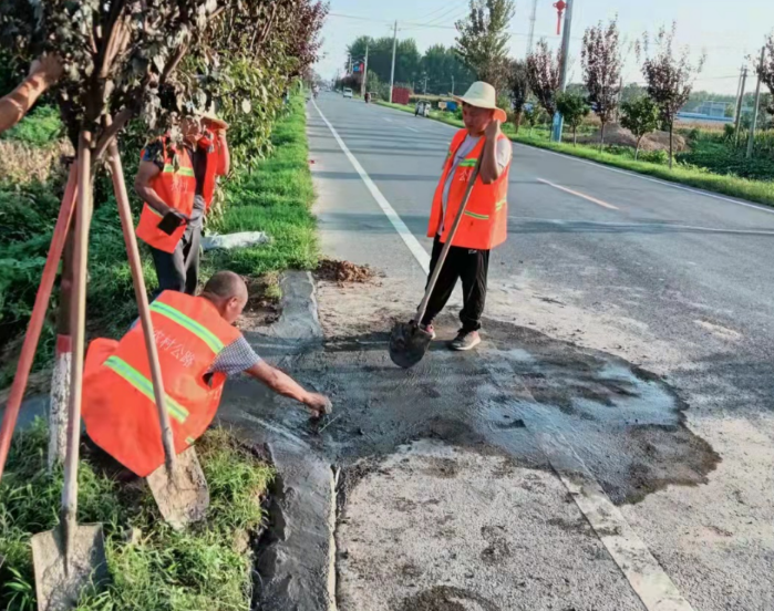 �ў�(z��i)��֏�(f��)�ؽ��c�hʷ�W(xu��)��(x��)��������ں�