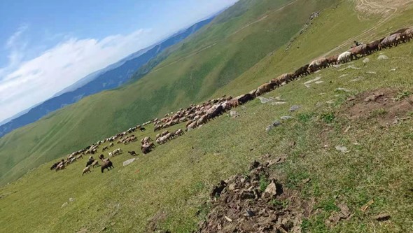 �½������򣺞������D(zhu��n)��(ch��ng)���{�o(h��)��